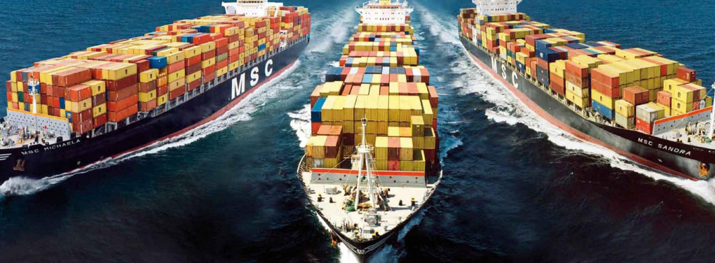  INSPECTION OF IMPORT- EXPORT