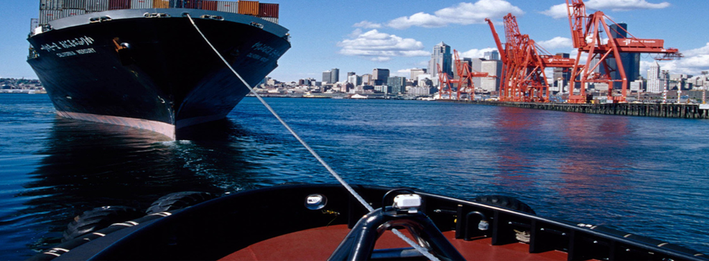 MARINE INSPECTION SERVICES