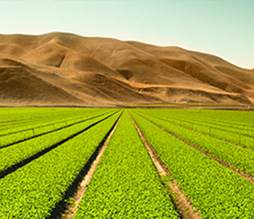 Agricultures, Food Inspection