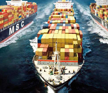 Inspection of import- export goods